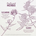 wishgarden-herbs---serious-cough-organic-4.jpg