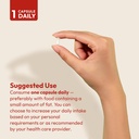 andrew-lessman-vitamin-d3-4000-iu-360-ca-6.jpg