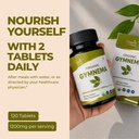 organic-spree-gymnema-120-tablets-gymnem-3.jpg