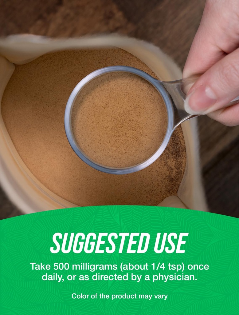 bulksupplements-com-organic-ginkgo-bilob-3.jpg
