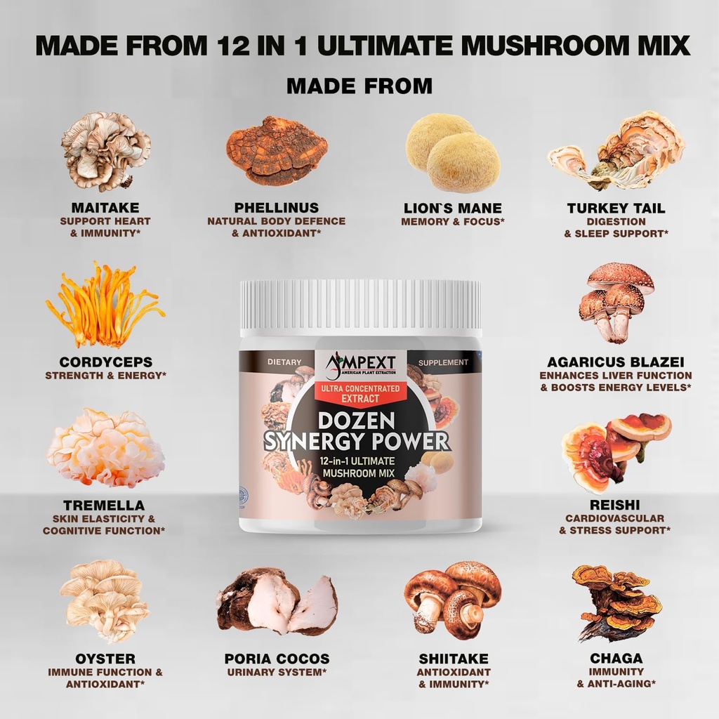 12-in-1-dozen-synergy-power-premium-comp-6.jpg
