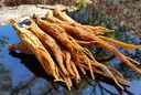 red-panax-ginseng-1-16oz-6-year-old-whol-4.jpg