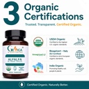 alfalfa-supplement-usda-organic-1500-mg--81PhAhC7HUL.jpg