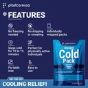 25-pack-6-x-9-disposable-ice-packs-for-i-81qixJbQV8L.jpg