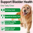 dog-urinary-tract-drops-liquid-cranberry-71g0Bb1Rd4L.jpg