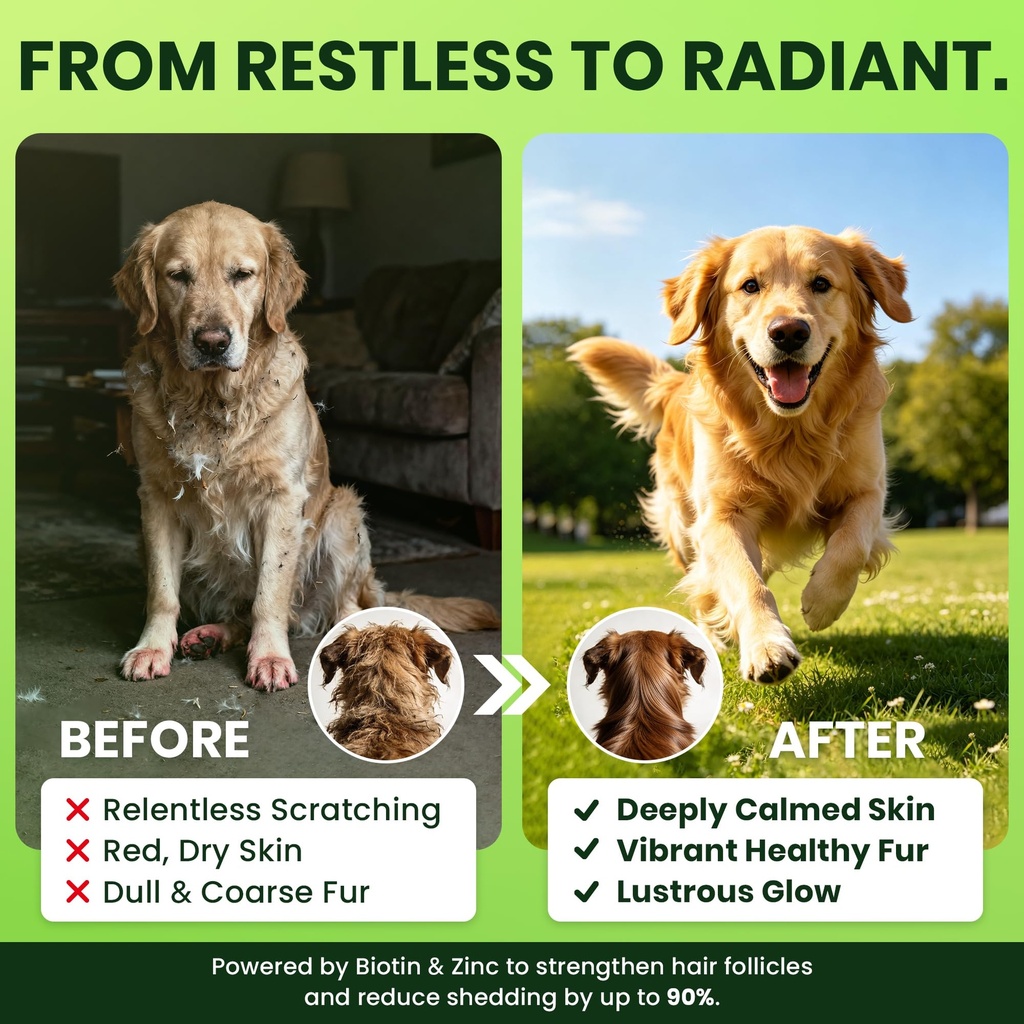 omega-3-6-9-for-dogs-fish-oil-skin-coat--81wk+-Mx+SL.jpg