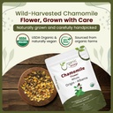 organic-way-chamomile-flower-whole-herba-71RqqSskXHL.jpg