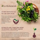 best-botanicals-chamomile-flower-whole-1-91A8NNflCtL.jpg