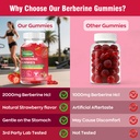 berberine-2000mg-gummies-with-organic-be-71-D-nufv7L.jpg