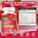 berberine-2000mg-gummies-with-organic-be-8169P1M-6WL.jpg