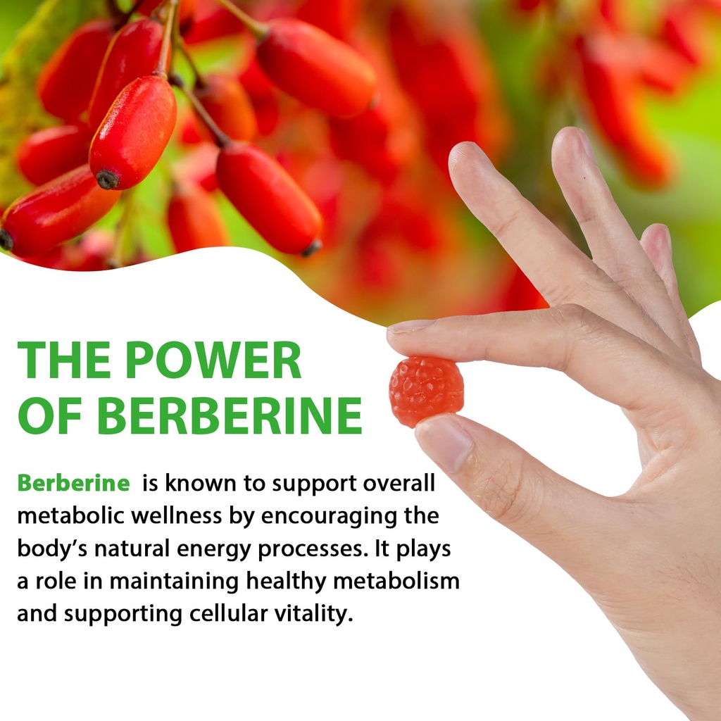 berberine-gummies-with-ceylon-cinnamon-s-71I+QaL4V8L.jpg