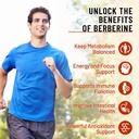 2-pack-berberine-gummies-high-potency-be-71m2HG-OJXL.jpg