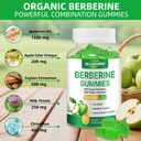 berberine-supplement-with-ceylon-cinnamo-71ELZMnnA8L.jpg