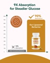liposomal-berberine-with-ceylon-cinnamon-71Yib9Ip6gL.jpg