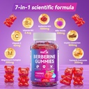 berberine-gummies-tasty-easy-to-take-60--71jJq0LDJYL.jpg