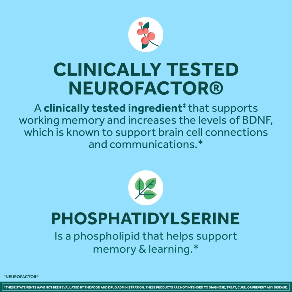 neuriva-plus-brain-supplements-for-memor-71rDudf+hWL.jpg