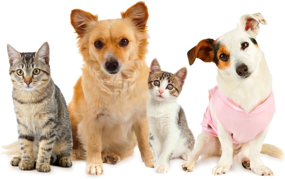 cat-vitamins-and-supplements-fur---ultra-3.jpg