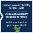 life-extension-cortisol-stress-balance-3-71Ad46zLm1L.jpg