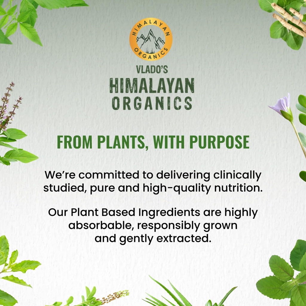 vlado-s-himalayan-organics-plant-based-o-71TJI5IEB9L.jpg