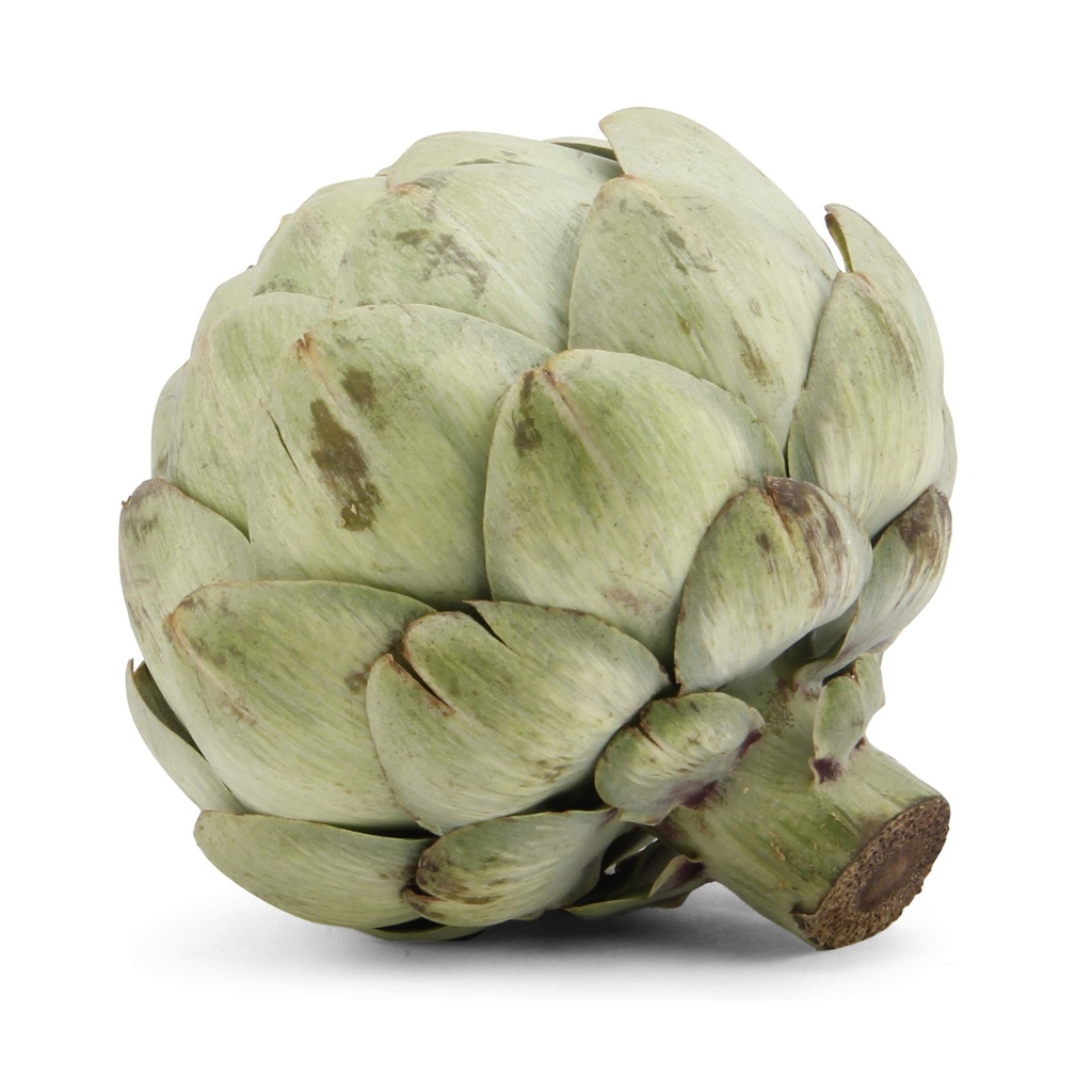 artichoke-organic-1-each-81j1qnHUGvL.jpg