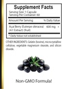 acai-berry-extract---acai-berry-diet-cap-5.jpg