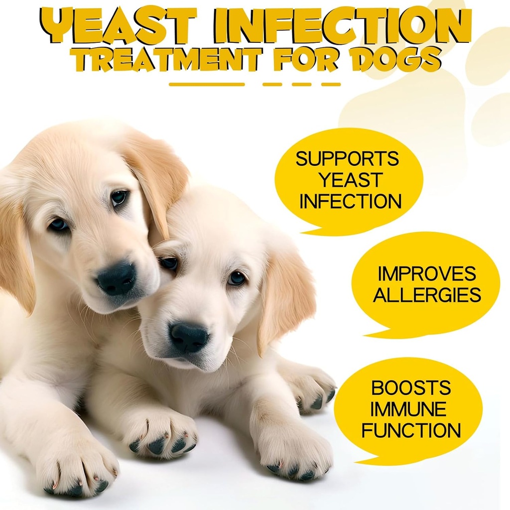 yeast-infection-treatment-for-dogs-dog-e-4.jpg