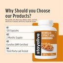stay-alive-boswellia-serrata-extract-cap-71tsFUMEWbL.jpg