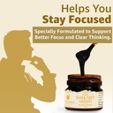 upakarma-pure-shilajit-resin-with-gold-d-71wrw8SBlBL.jpg
