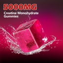 creatine-monohydrate-gummies-5000mg-suga-3.jpg