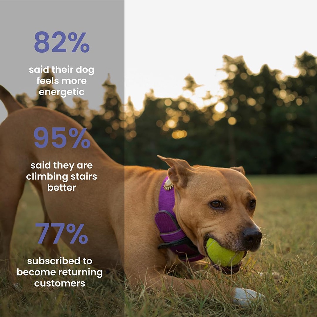 absolut-pet-hip-joint-chews-for-dogs-glu-61hRtGm6TQL.jpg
