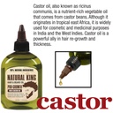 sfc-natural-king-pro-growth-castor-hair--4.jpg