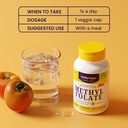healthy-origins-methyl-folate-quatrefoli-71rTFLUawML.jpg
