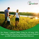 algal-oil-vegan-dha-omega-3-fish-oil-sup-71LZBgi0fhL.jpg