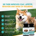 aminavast-cat-small-dog-kidney-support-3-81IjusemqnL.jpg