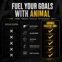 animal-creatine-monohydrate-hmb-for-men--71-82CPyrCL.jpg
