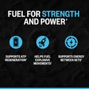 onnit-creatine-monohydrate-powder-5g-unf-71+Cz2gBUJL.jpg