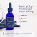 trace-minerals-ionic-zinc-liquid-drops-s-81TALDky+DL.jpg