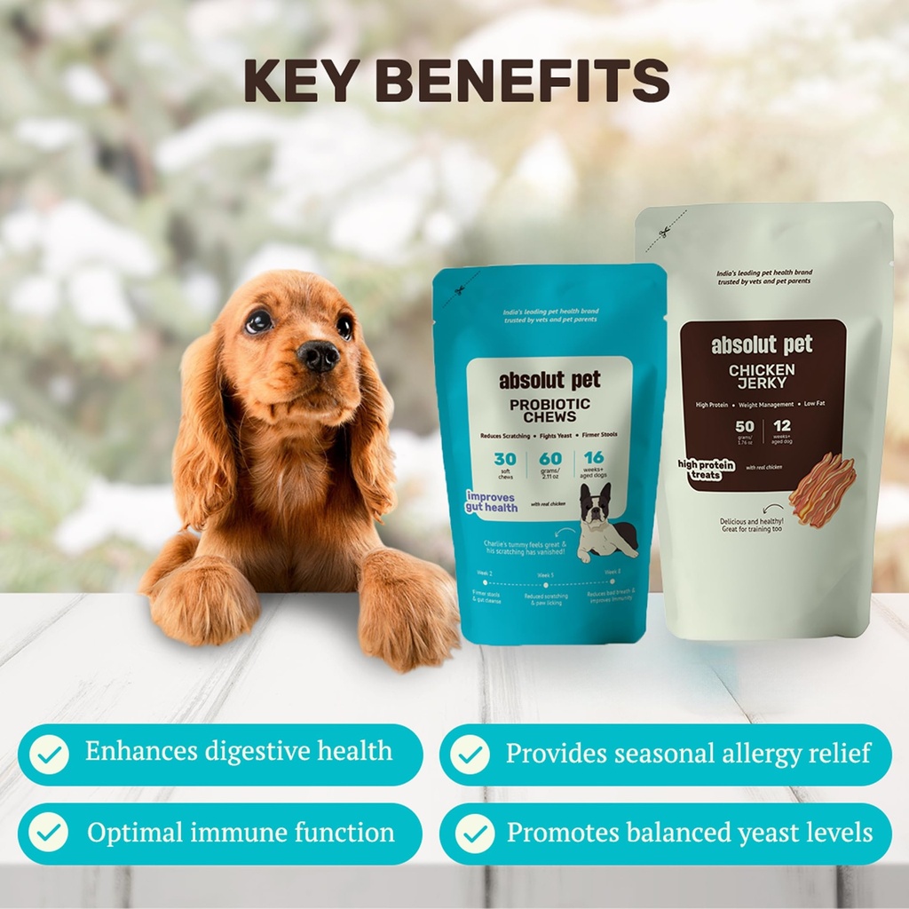 absolut-pet-probiotic-chews-chicken-jerk-81JjCVdgoUL.jpg