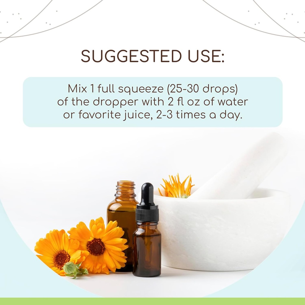 herbera-alfalfa-b120-alcohol-free-herbal-2.jpg
