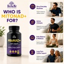 herbame-nad-support-supplement-multi-pat-81yxBfK-JiL.jpg