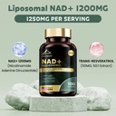 liposomal-nad-supplement-1200-mg-with-tr-714yruTB0zL.jpg