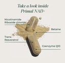 primal-harvest-nad-daily-vegan-supplemen-71pZR+1vpML.jpg