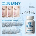 pure-nmn-500mg-99-nicotinamide-mononucle-71Z4fbeTXFL.jpg