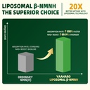 nmnh-supplement-2000mg-liposomal-nmn-alt-61H16P9VwLL.jpg