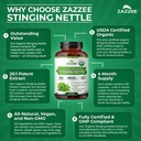 zazzee-usda-organic-stinging-nettle-leaf-81aAtUPLAaL.jpg
