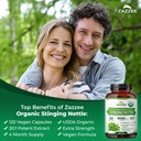 zazzee-usda-organic-stinging-nettle-leaf-81cKUwa7+4L.jpg