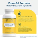 researched-nutritionals-renewgut-gi-comp-71a85OtXweL.jpg