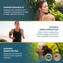 vykee-nutrition-niacinamide-capsules-vit-81YtfTuxR3L.jpg