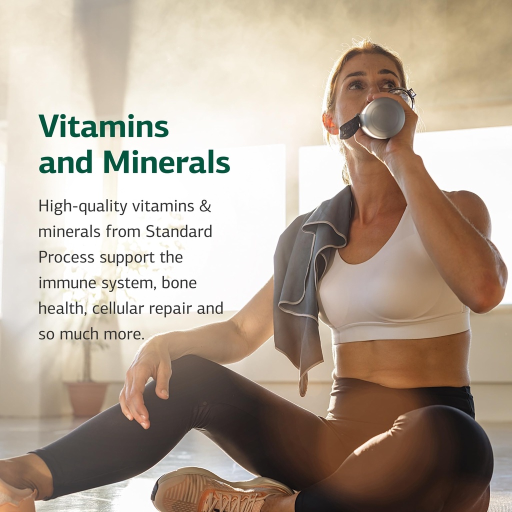 standard-process-b6-niacinamide-vitamin--81eVR9iAs8L.jpg