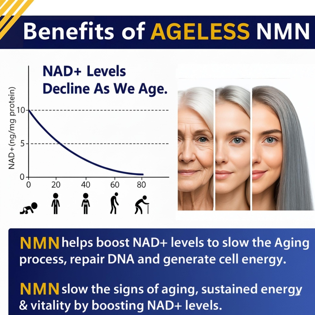 nmn-supplement-500mg-for-women-men-90-ca-81v7z8QLc-L.jpg